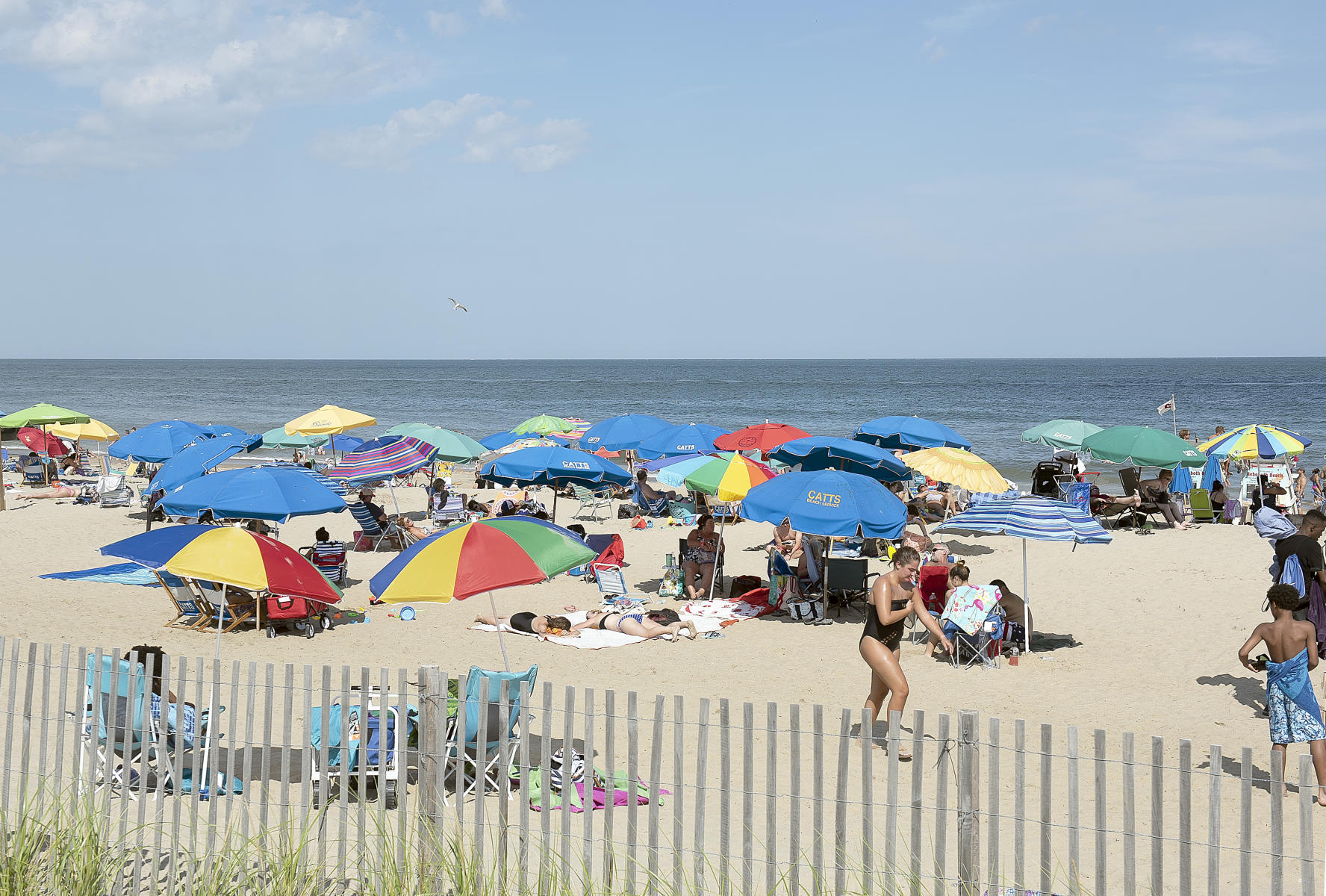 Rehoboth Beach, Summer