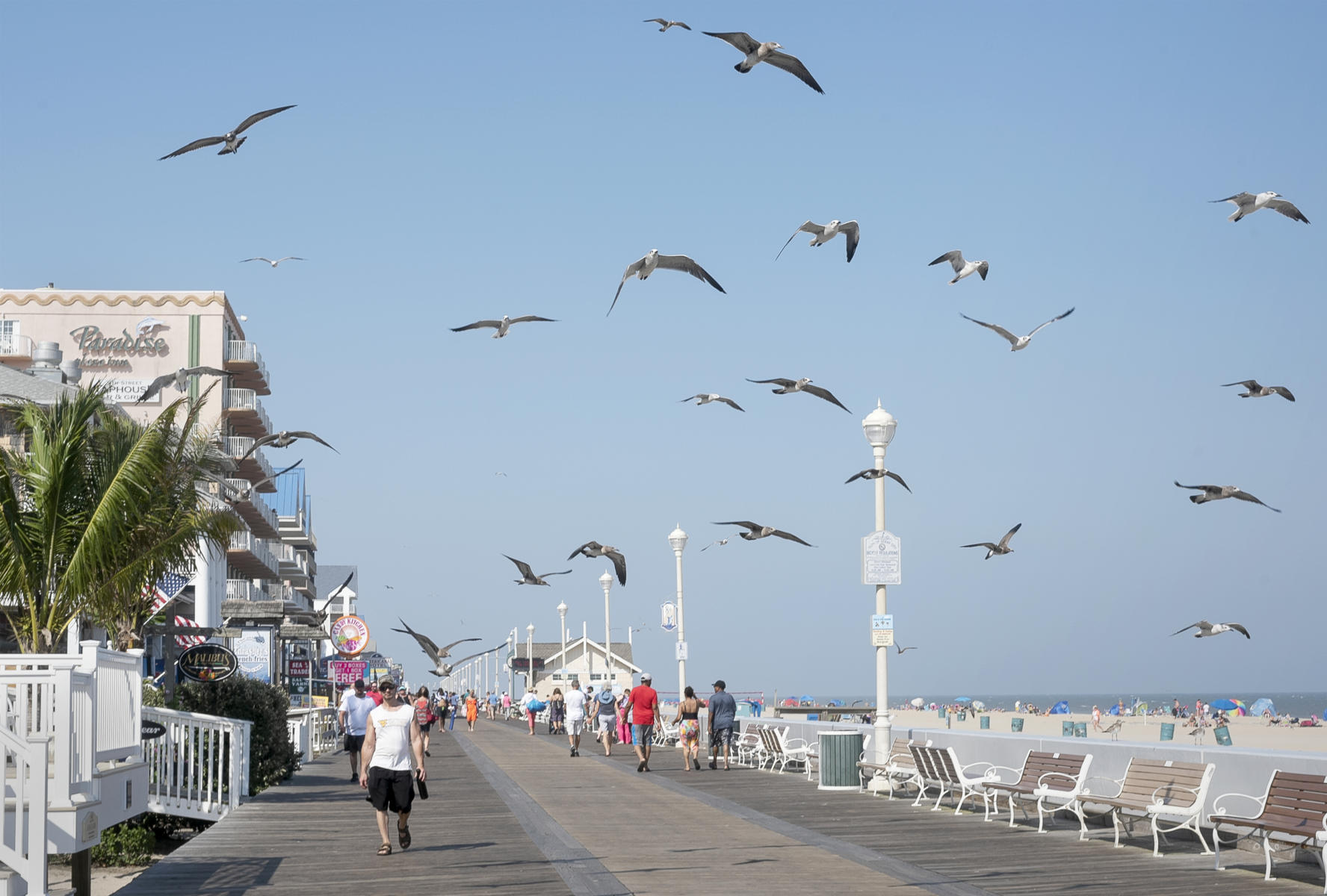 Ocean City, MD, Late Summer